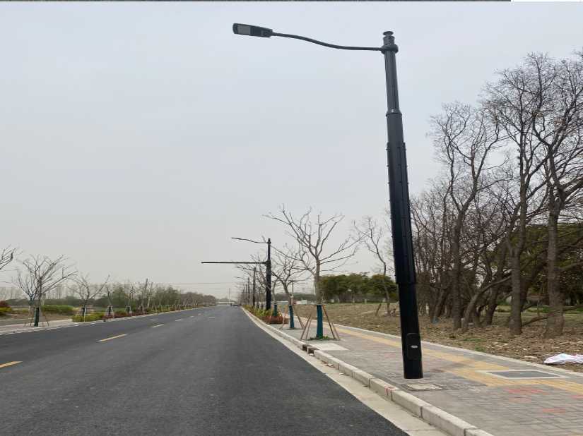 澄江市上海综合杆 太阳能路灯工程